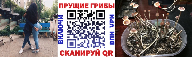 Псилоцибиновые грибы Magic Shrooms  Льгов 
